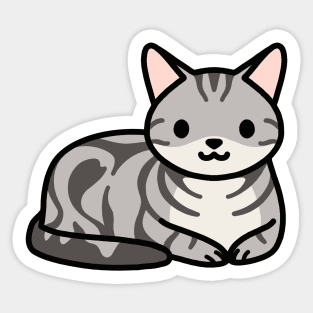 American Shorthair Cat Sticker